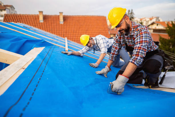 Best Roof Gutter Cleaning  in Volcano Golf Course, HI