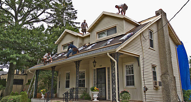 Best Shingle Roofing Installation  in Volcano Golf Course, HI