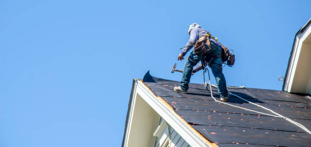 Best Sealant for Roof  in Volcano Golf Course, HI